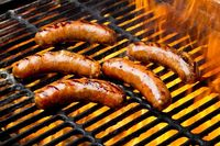 Ini 7 Kesalahan yang Paling Sering Dialami Orang Saat Bikin BBQ