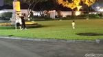 Foto: Jokowi Foto Bareng Warga, Anak Cucu Siapkan Kembang Api
