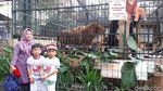 Foto: Mampir ke Bonbin Siantar Zoo di Liburan Tahun Baru
