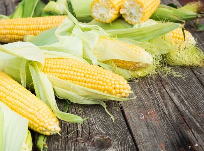 Foto: iStock Foto: iStock