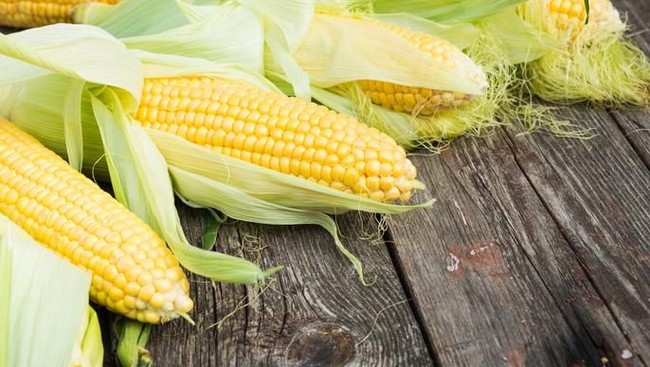 Ini Alasan RI Impor 100.000 Ton Jagung Tahun Ini