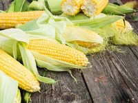 Ini Alasan RI Impor 100.000 Ton Jagung Tahun Ini
