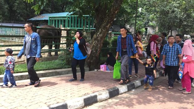57 Ribu Pengunjung Sesaki Ragunan hingga Siang Ini