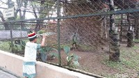 Untuk masuk ke dalam kebun binatang, traveler hanya perlu memeli tiket per orang seharga Ro 25 ribu. (Chaidir/detikTravel)