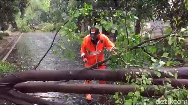  Pohon tumbang di Menteng, Jakpus, Minggu (31/12/2017)