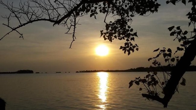 Pulau RI Dijual Online