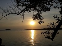 Pulau RI Dijual Online