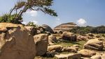 Foto: Resort Mewah yang Ngumpet di Balik Taman Nasional Sri Lanka