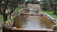 Sungai berwarna kuning ini terletak di bagian gerbang menuju Taman Wisata Alam (TWA) Papandayan. Lokasinya tak jauh dari kolam renang air panas yang ada di kawasan ini (Hakim/detikTravel)