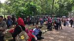 Foto: Begini Ramainya Ragunan di Libur Tahun Baru