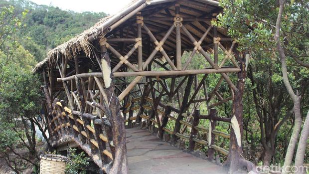 Ada juga jembatan bambu yang dibuat oleh pengelola (Hakim/detikTravel)