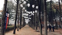 Liza Soberano pernah menyambangi Pulau Nami yang romantis di Korea Selatan. Suka K-Pop juga nih? (Instagram/lizasoberano)