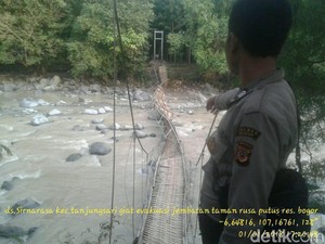 Jembatan di Penangkaran Rusa Cariu Putus Diduga Akibat Overload