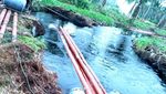 Ini Lho Kado PLN untuk Warga Desa Teluk Nibung di Riau
