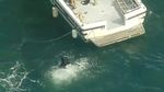 Kapal-kapal Mengerubungi Lokasi Jatuh Pesawat di Sungai Sydney