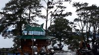  Rumah pohon yang memiliki cafe (Chaidir/detikTravel)