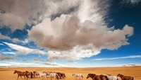 Lanskap Mongolia yang dipotret Fazza (Instagram/faz3)