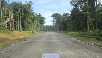 Jalan meliuk yang sudah diperkeras tembus rimbunan hutan dikombinasi tanah berbukit di sisi kiri jalan. Pool/BP Jalan Nasional XVII Papua Barat.