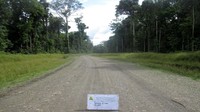 Nampak jalan meliuk yang sudah diperkeras tembus kawasan hutan rimbun hijau yang indah. Pool/BP Jalan Nasional XVII Papua Barat.