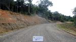 Keren! Trans Papua Tembus Hutan, di Antara Bukit dan Laut