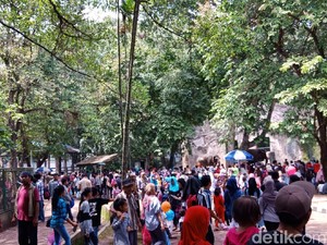 84 Ribu Pengunjung Padati Ragunan Siang Ini