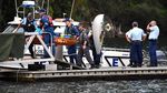 Kapal-kapal Mengerubungi Lokasi Jatuh Pesawat di Sungai Sydney