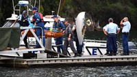Media setempat melaporkan bahwa pesawat yang jatuh itu berasal dari maskapai Sydney Seaplane yang sering mengangkut selebritis sebagai penumpangnya. Jubir Badan Keamanan Transportasi Australia mengatakan kepada AFP bahwa pesawat itu dalam perjalanan kembali menuju Rose Bay di Pelabuhan Sydney./AAP/Perry Duffin/via REUTERS ATTENTION EDITORS