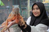 (Wisma Putra/detikTravel)
