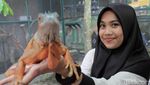 Foto: Ide Libur Akhir Pekan, Kebun Binatang Mini di Lembang