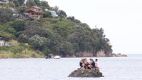 Larangan mabuk di muka publik diberlakukan di Coromandel selama periode Tahun Baru. Apabila melanggar, warga akan didenda sekitar USD 180 (AUD 250) atau ditangkap. (Foto: Dok. Facebook via dmarge.com)