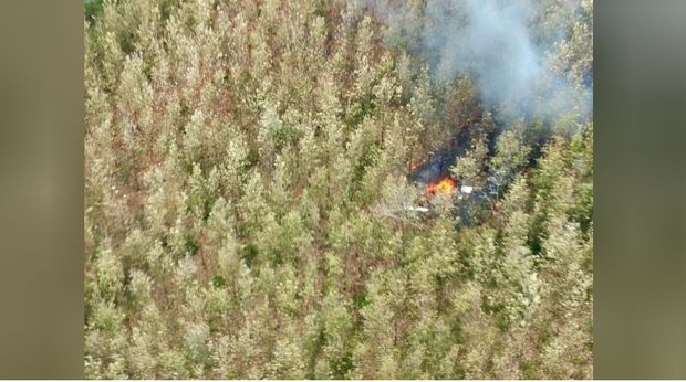 Pesawat Cessna jatuh di Kosta RIka, tewaskan 12 orang (Foto: Reuters).