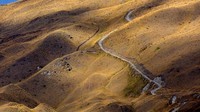 Skippers Canyon Road sangat berbahaya sehingga pengendara harus mengajukan permohonan izin khusus sebelum lewat. (ChameleonsEye/Shutterstock).