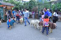 (Wisma Putra/detikTravel)