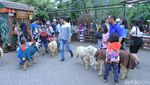 Foto: Ide Libur Akhir Pekan, Kebun Binatang Mini di Lembang