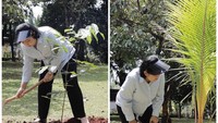 Dia lalu menanam pohon rambutan dan kelapa gading di atas ari-ari cucu keempatnya.