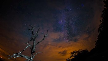 Kalau foto Bima Sakti yang ini diambil di Shenandoah National Park, Virginia. Foto: Space