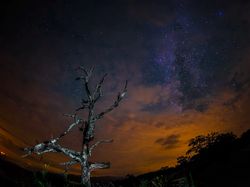 Pemandangan Galaksi Bima Sakti yang Bikin Takjub