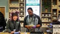 Menanam dan menjual ganja untuk pengobatan sudah dinyatakan legal di California sejak tahun 1996. (Foto: Dok. REUTERS/Elijah Nouvelage)