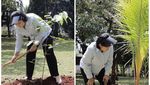 Momen Ani Yudhoyono Kuburkan Ari-ari Cucunya dan Tanam Pohon