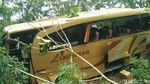 Penampakan Bus Pariwisata yang Masuk Jurang di Bantul
