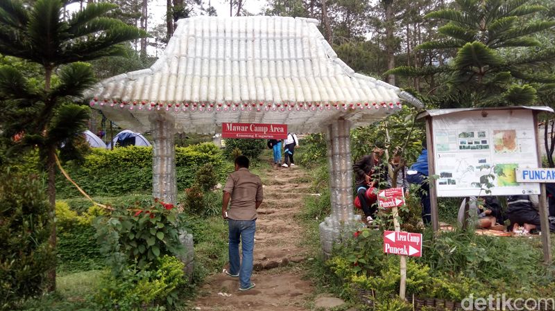 Foto Wajah Baru Kamp Mawar Gunung Ungaran Semarang