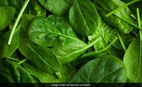 Ini 5 Jenis Makanan yang Bisa Bikin Tubuh Lebih Langsing di Tahun 2018