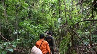 Sebagaimana diketahui, misi pencarian sejumlah petugas dibantu warga selama 2 hari ini belum menemukan tanda-tanda jejak keberadaan korban.   Namun, berdasarkan informasi terakhir dari saksi mata yang terakhir kali melihat korban menyatakan korban sempat bertemu warga sekitar pukul 22.00 dalam kondisi berjalan kaki ke arah hutan, saat ditanya warga, korban menjawab hendak mencari buah mangga.    Namun hingga pagi hari korban pun diketahui tidak kembali yang kemudian dilaporkan keluarganya ke pihak berwajib, yang langsung direspon dengan  misi pencarian.