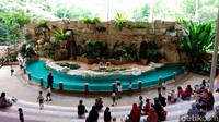Foto: Koleksi hewan tidak terlalu banyak. Namun, orangutan, siamang, beruang, gajah, rusa, antelope, dan aneka burung ada di taman ini (Bonauli/detikTravel)