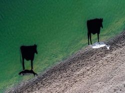 Deretan Foto Keren Karya Jawara Kontes Drone 2017