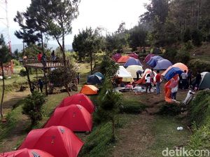 Ramai Banget! Kemping Ceria di Gunung Ungaran Semarang