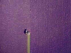 Deretan Foto Keren Karya Jawara Kontes Drone 2017