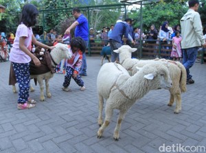 Ini Nih Kebun Binatang Mini di Lembang