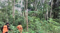 Pencarian Nurdin (75)  oleh sejumlah tim pencari yang melibatkan dari berbagai unsur di hutan Soppeng, Sulsel mengalami insiden kerasukan. Warga Dusun Pising Kecamatan Donri-donri dilaporkan hilang oleh keluarganya, sejak (31/12/17) malam.   Pencarian masuk jauh ke dalam hutan yang dipercaya warga sebagai hutan keramat dan jarang terjamah manusia. Rombongan itu mengikutkan Bupati, Dandim hingga Kapolres Soppeng.   Kapolres Soppeng AKBP Dedy Dewantho yang dihubungi sejumlah wartawan membenarkan adanya peristiwa aneh ketika personil gabungan dalam tim pencarian memasuki wilayah hutan Kecamatan Donri-Donri yang diduga adalah lokasi hilangnya korban.