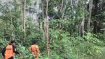 Cari Warga Hilang di Hutan, Rombongan Bupati Kesurupan